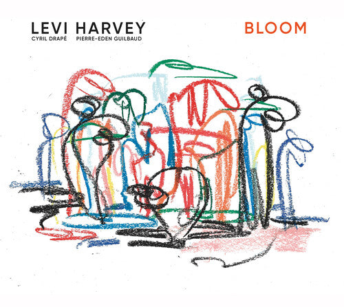Levi Harvey - Bloom (VINYL) | Mint (M) Mint (M)