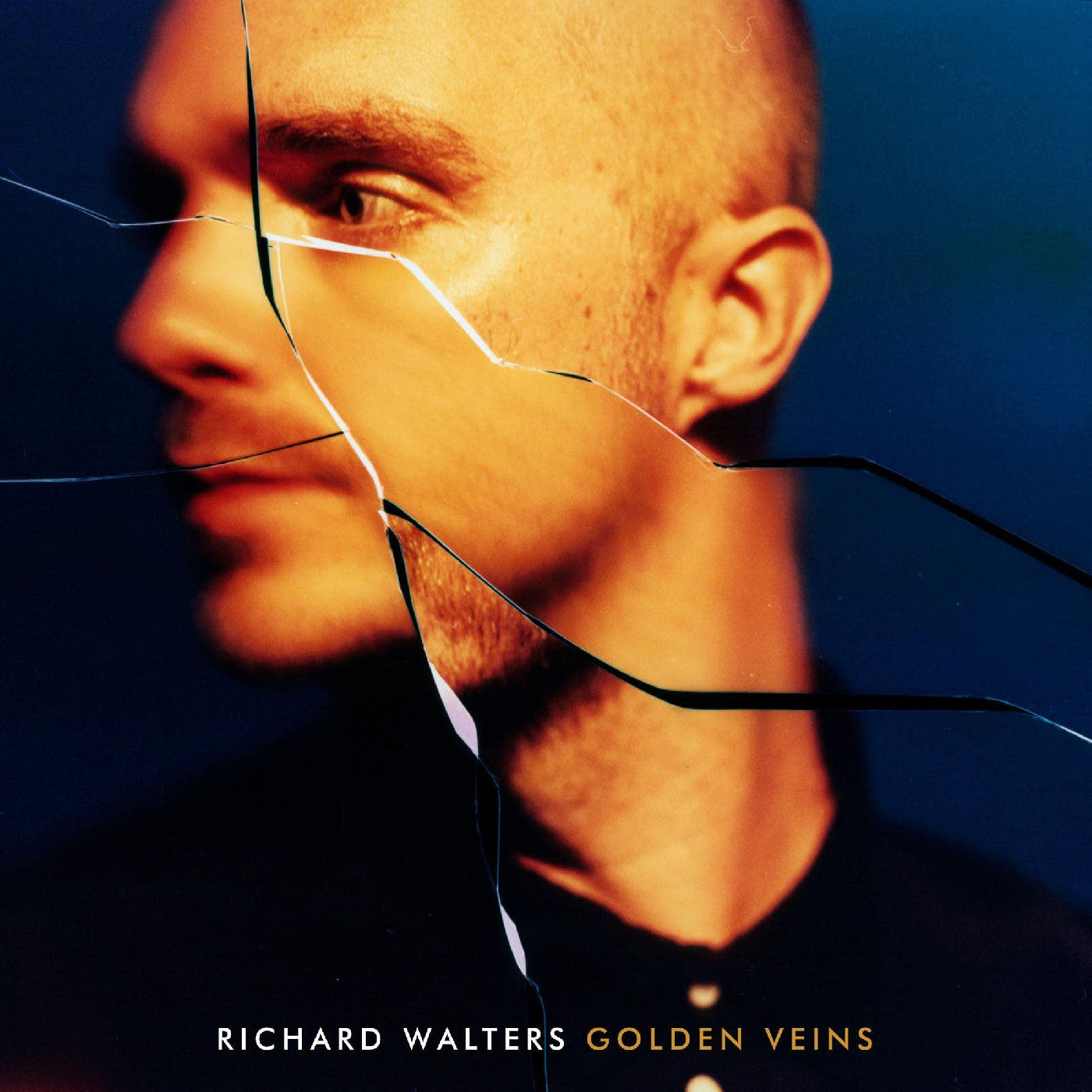 Golden Veins (VINYL) | Mint (M) Mint (M)