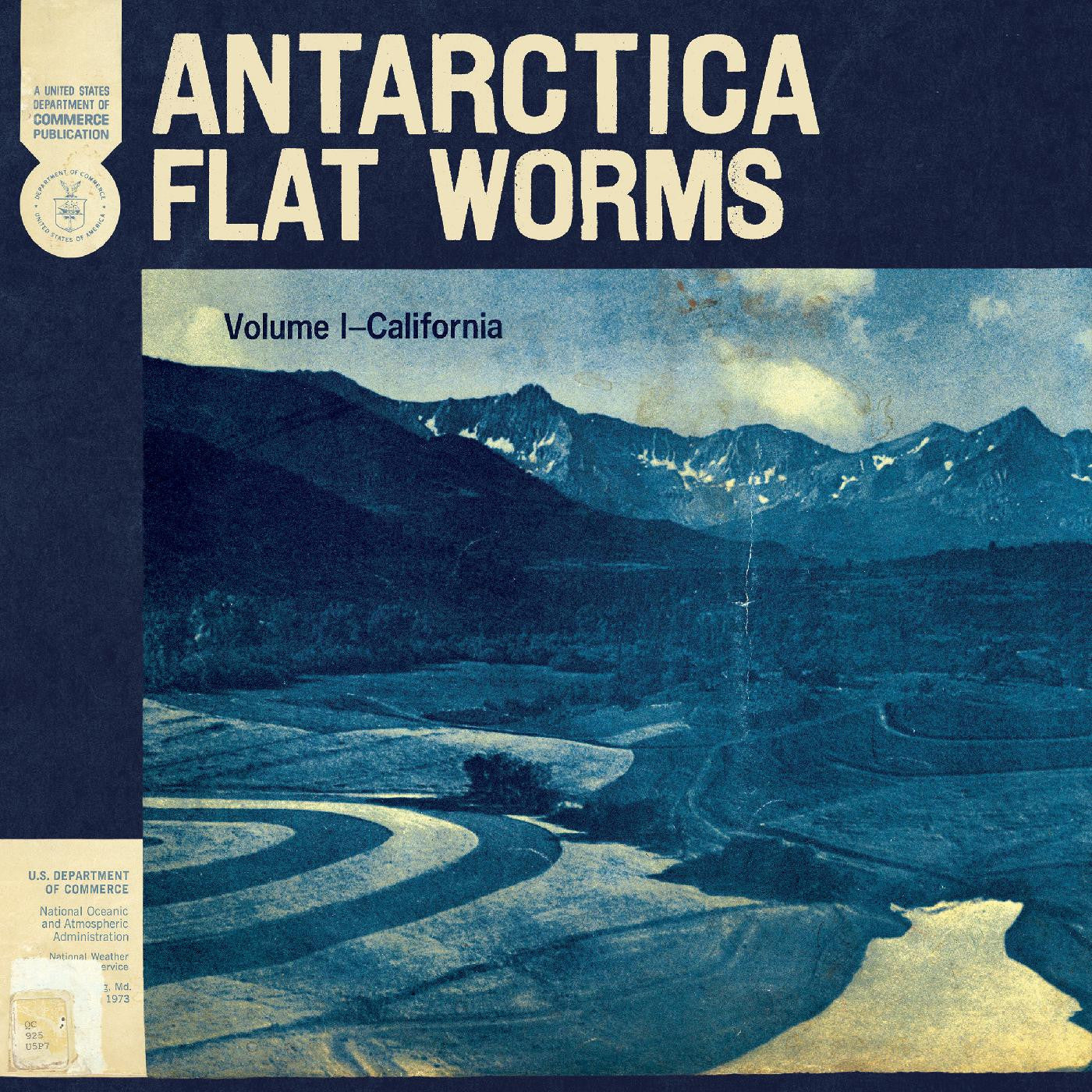 Flat Worms - Antarctica |