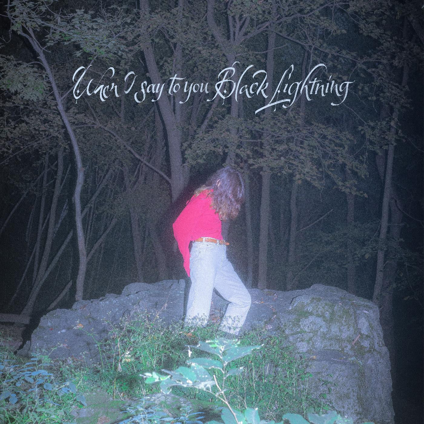 Common Holly - When I say to you Black Lightning |