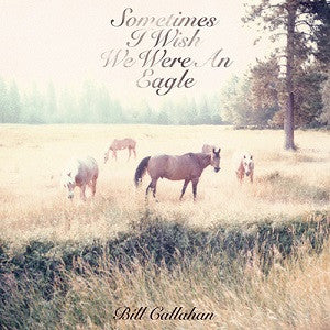 Bill Callahan - Sometimes I Wish We Were an Eagle (VINYL) | Mint (M) Mint (M)