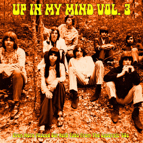 Various Artists - (PRESALE 6/5/26) Up In My Mind Vol. 3: Even More Fuzzed Out Acid Tabs... (VINYL) | Mint (M) Mint (M)