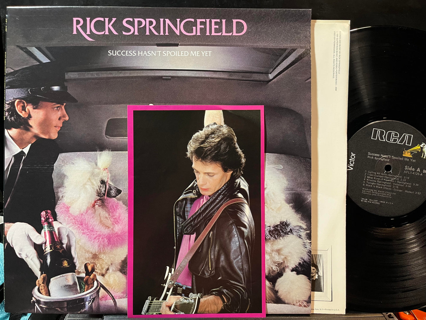 Rick Springfield - Success Hasn't Spoiled Me Yet (VINYL) | Near Mint (NM or M-) Near Mint (NM)