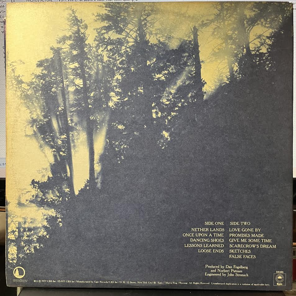 Dan Fogelberg - Nether Lands (VINYL) | Near Mint (NM or M-)