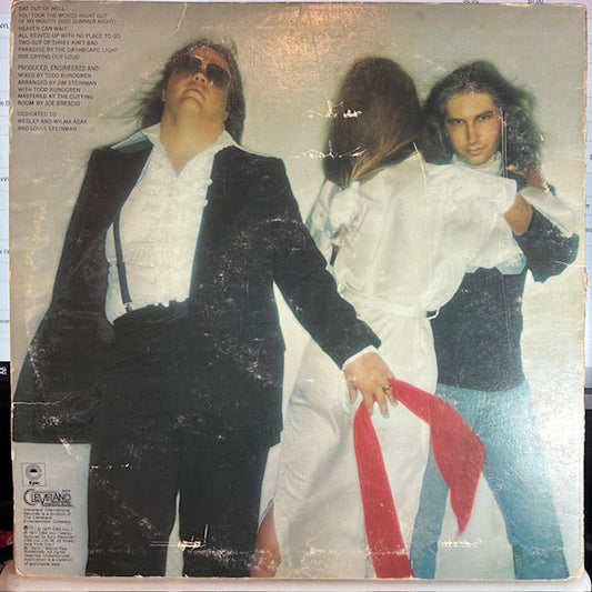 Meat Loaf - Bat Out Of Hell (VINYL) | Very Good Plus (VG+) Very Good (VG)