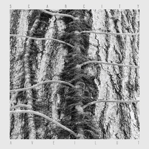 Aveilut |