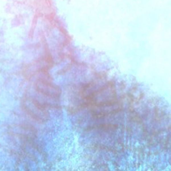 The Worm At The Core |