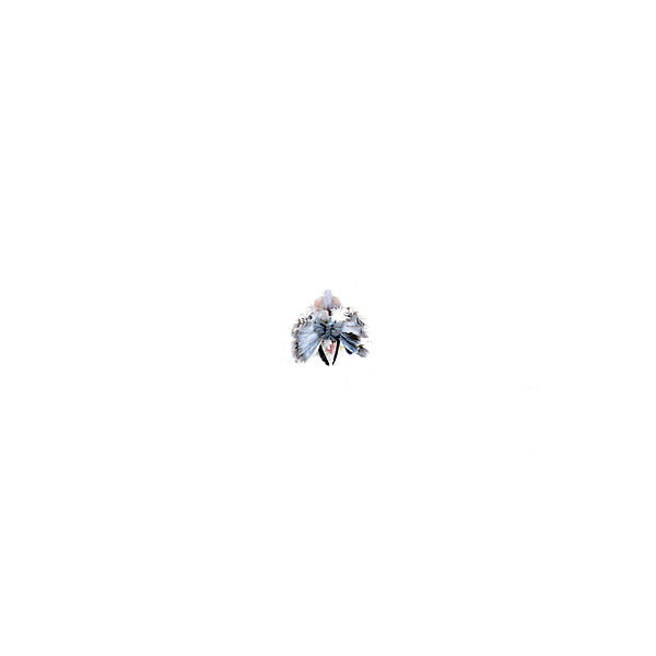 Assassin |