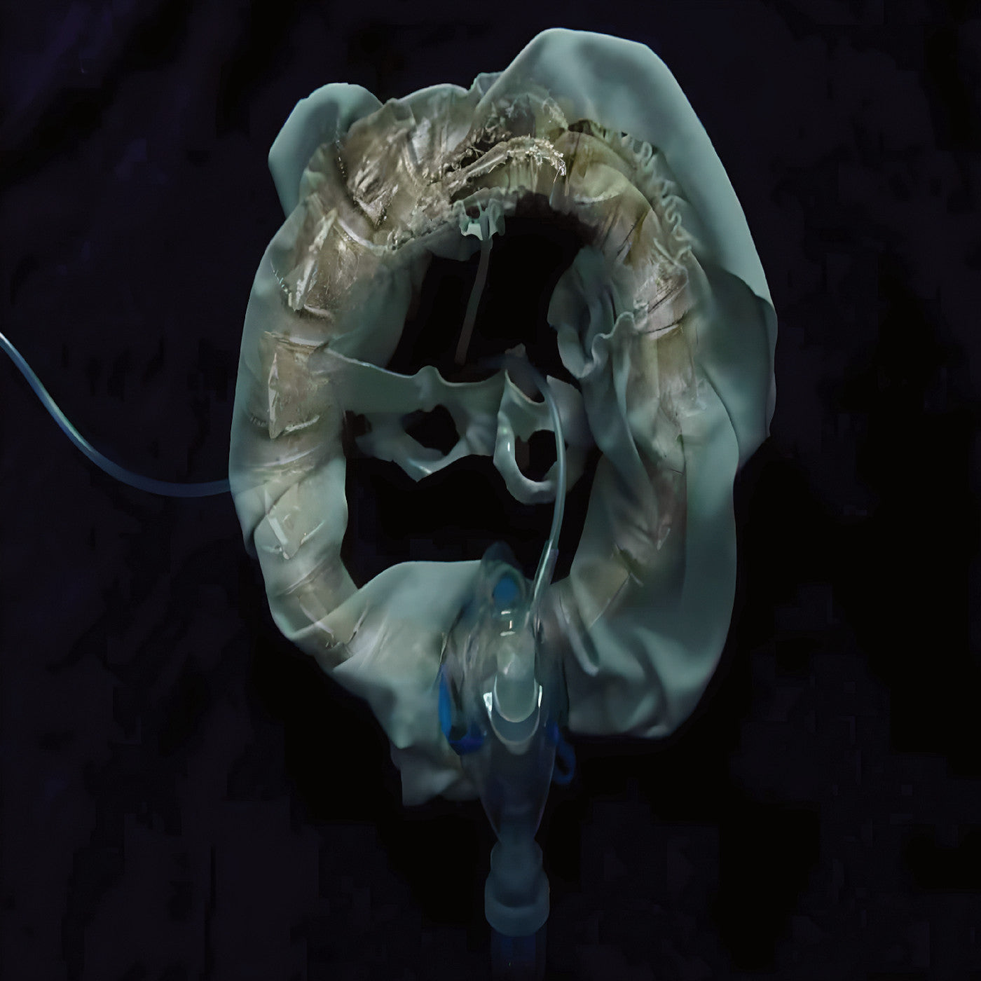 Initiatrix (VINYL) | Mint (M) Mint (M)