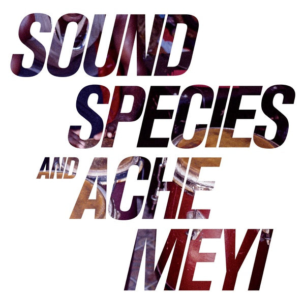 Soundspecies And Ache Meyi |