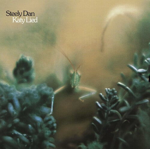 Katy Lied (180 Gram Vinyl) | Mint (M) Mint (M)