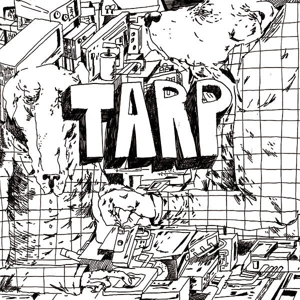 Tarp |