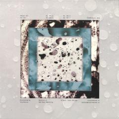 Lizz - Atipic 21 (VINYL 12") | Mint (M) Mint (M)