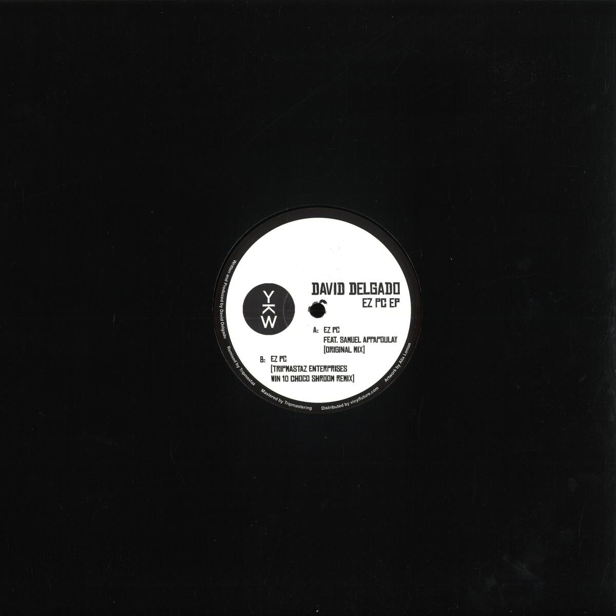 David Delgado - EZ PC EP (VINYL 12") | Mint (M) Mint (M)