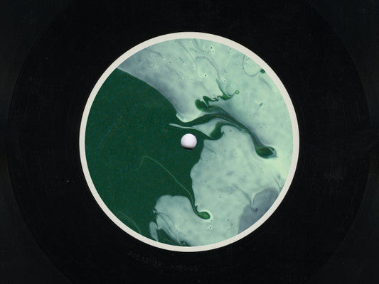 Sentient (VINYL 12") | Mint (M) Mint (M)