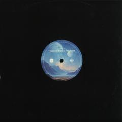Transient States. Feedback (VINYL 12") | Mint (M) Mint (M)