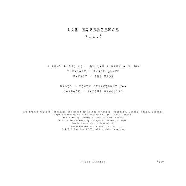 Various Artists - (PRE-ORDER TBA) Lab Experience Vol. 3 (SWIRL VINYL 12") | Mint (M) Mint (M)