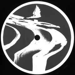Voices From The Void EP (12") |
