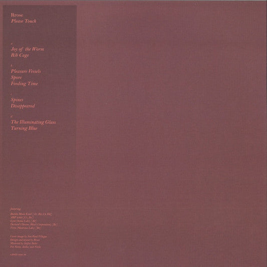 Rrose - Please Touch (12") | Near Mint (NM) Near Mint (NM)