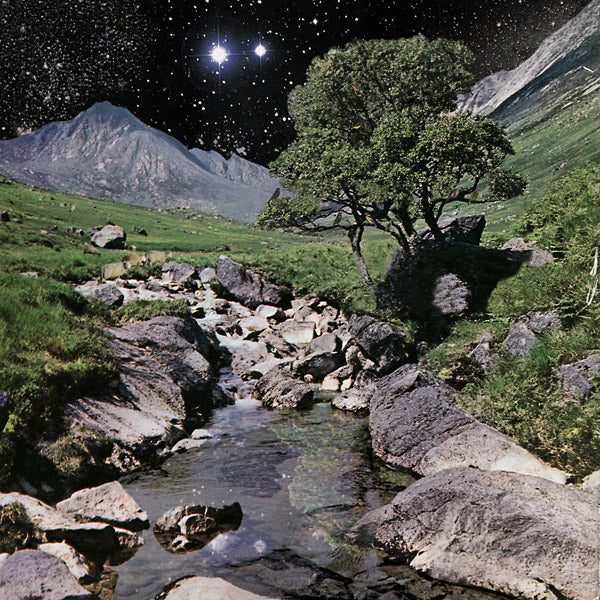 The Beta Band (Deluxe Edition) |