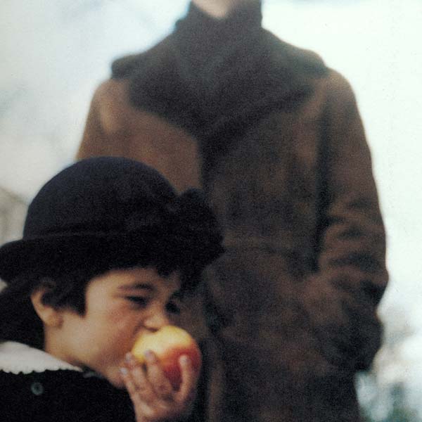 A Sea of Trees (CD) | Mint (M) Mint (M)