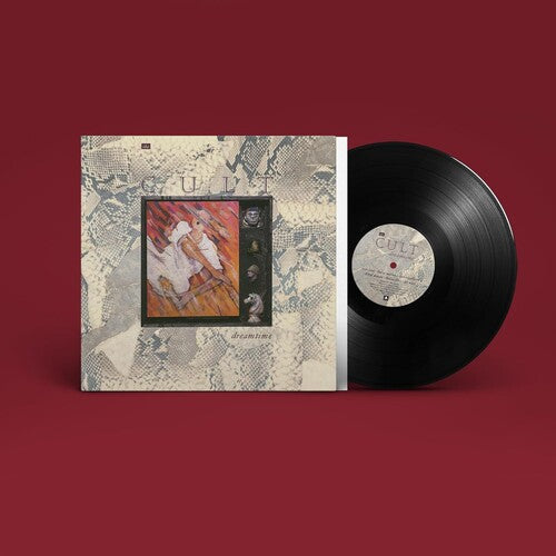 Dreamtime | Mint (M) Mint (M)