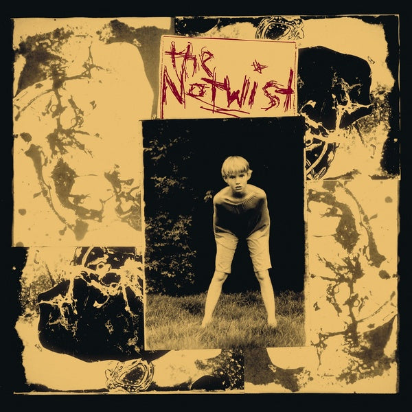 The Notwist (30 Year Anniversary Edition) |