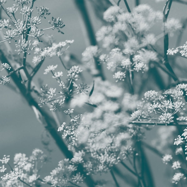 Journey To The Cave Of Guanyin |