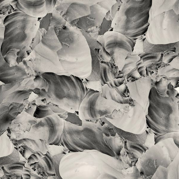 Ideas Of Aesthetics |