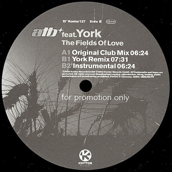 ATB - The Fields Of Love (12" VINYL) | Very Good Plus (VG+) Excellent (EX)