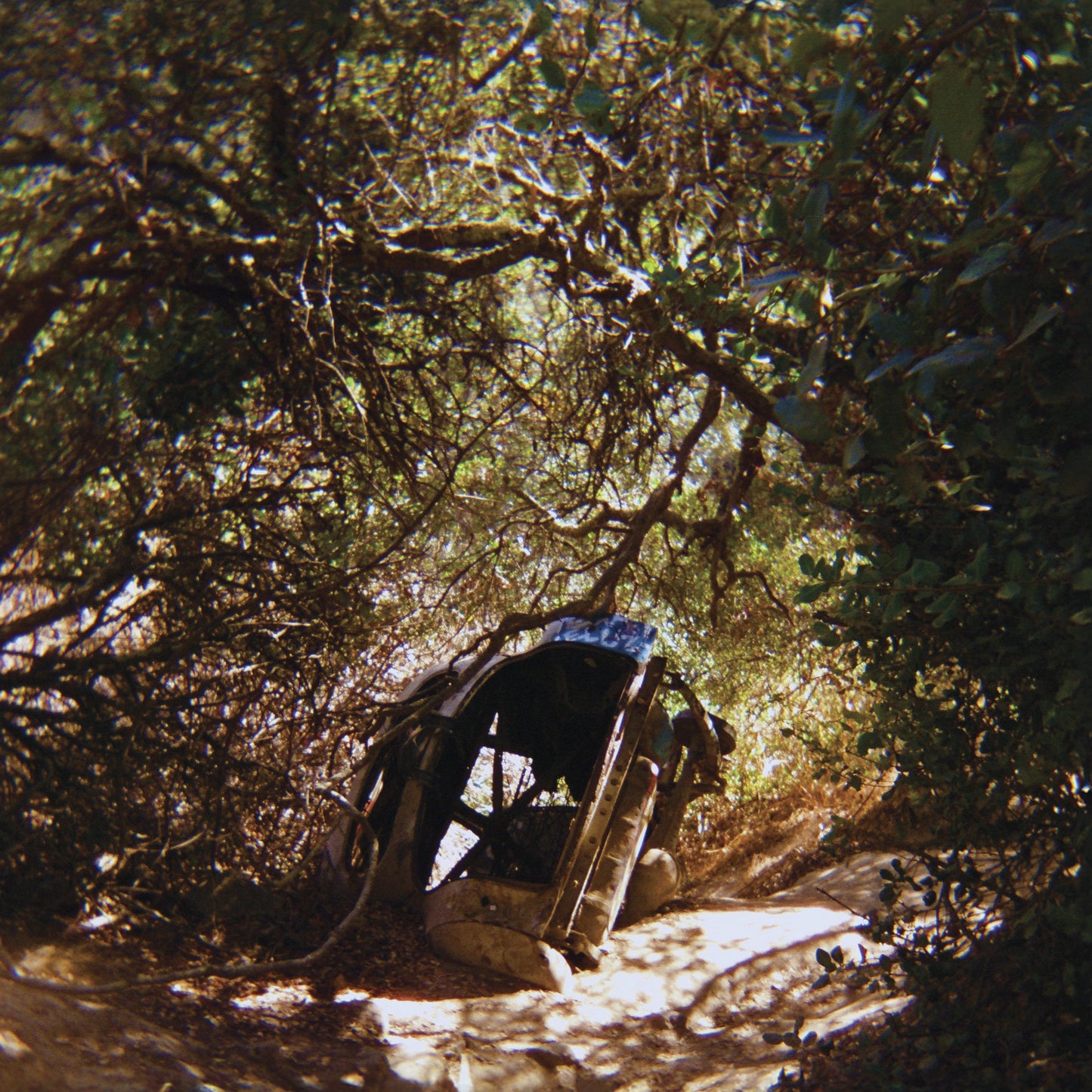 Possession (VINYL) | Mint (M) Mint (M)