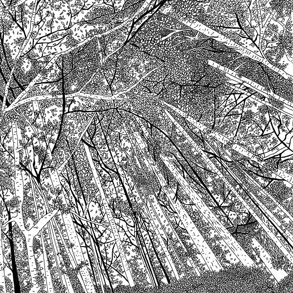 Displaced Soundtracks |