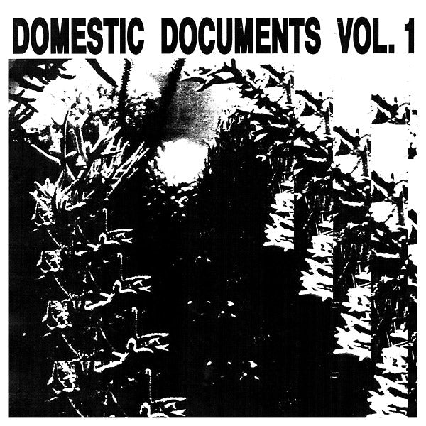 Domestic Documents Vol. 1: Compiled by Butter Sessions and Noise In My Head |