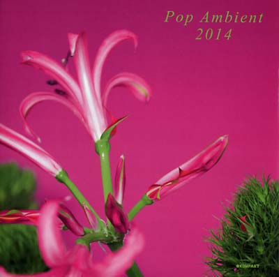 Pop Ambient 2014 |