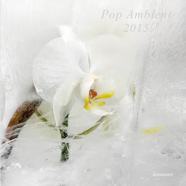 Pop Ambient 2015 |