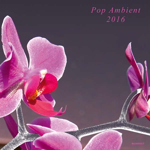 Pop Ambient 2016 |
