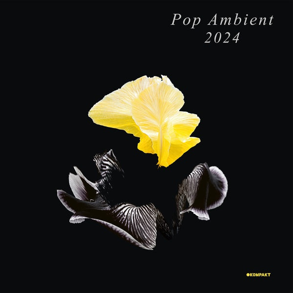 Pop Ambient 2024 |