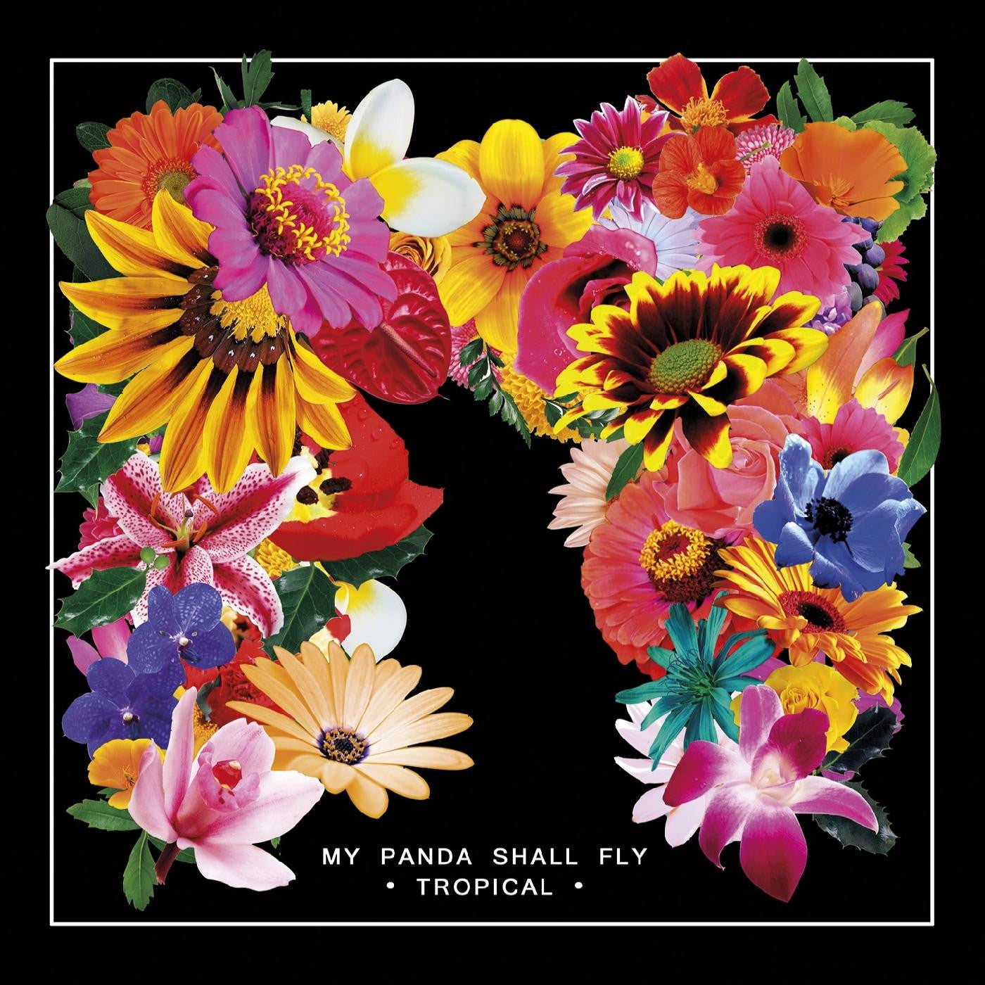 My Panda Shall Fly - Tropical |