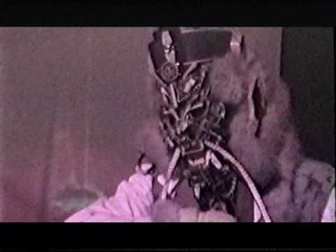 The World Did Not Get Enough Rammellzee