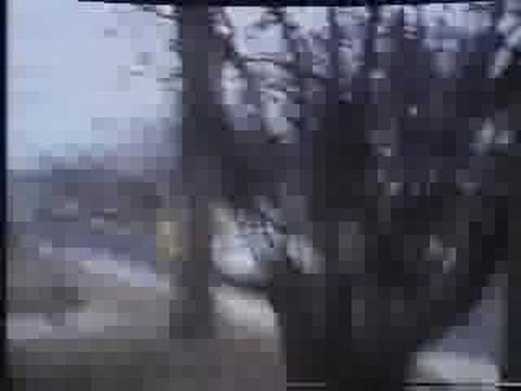 Rob and Lou and your whole damn crew