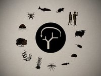 The Center for PostNatural History on We Make Money Not Art