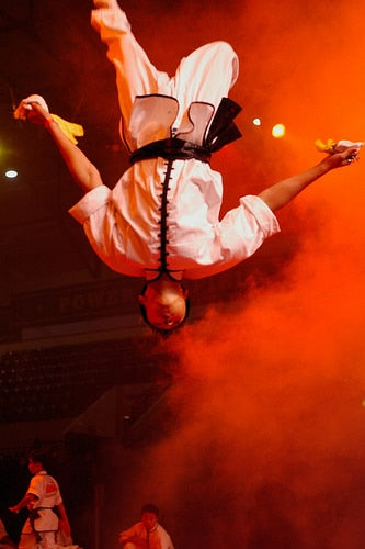 2008 Tiger Claw Elite photos