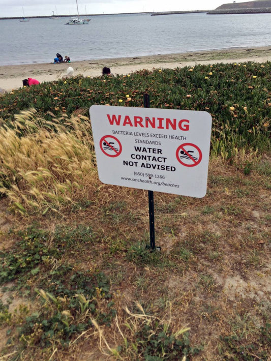 Scenes From Half Moon Bay