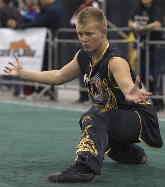 Photos from 2010 Kung Fu Magazine/WildAID Championships