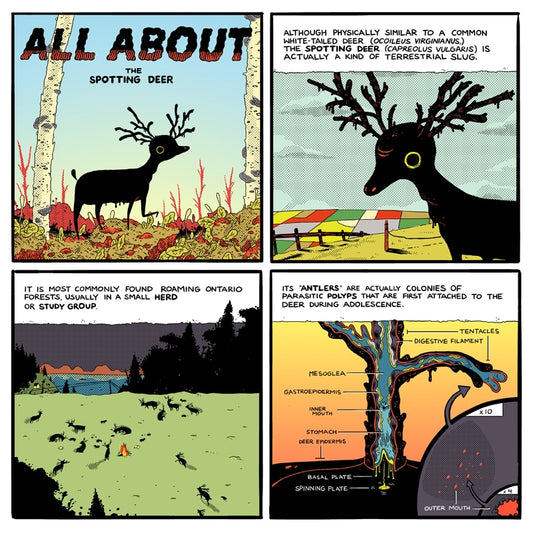 Michael DeForge Comics In The Shop