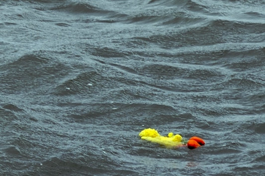 Sesame Street's Big Bird Found Floating Dead in the Gulf