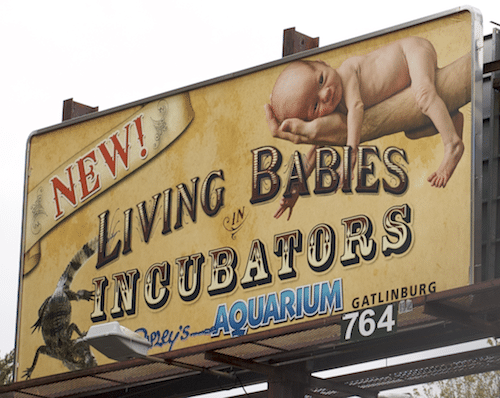 NEW! Living Babies in Incubators