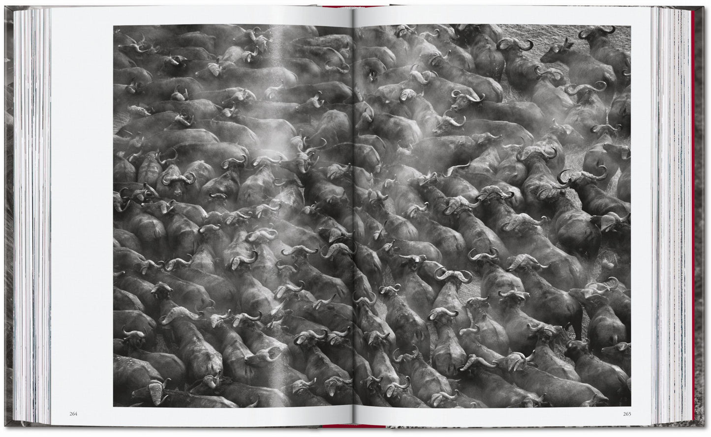 Sebastião Salgado. Genesis. 45th Ed. (English)