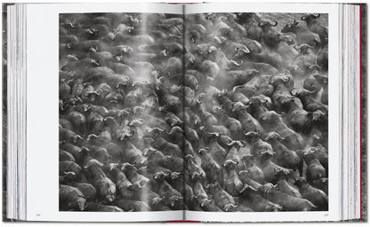 Sebastião Salgado. Genesis. 45th Ed. (English)