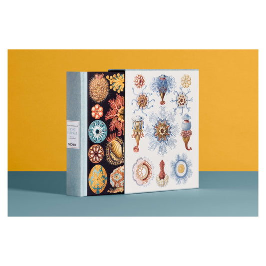 The Art and Science of Ernst Haeckel (German, French, English)